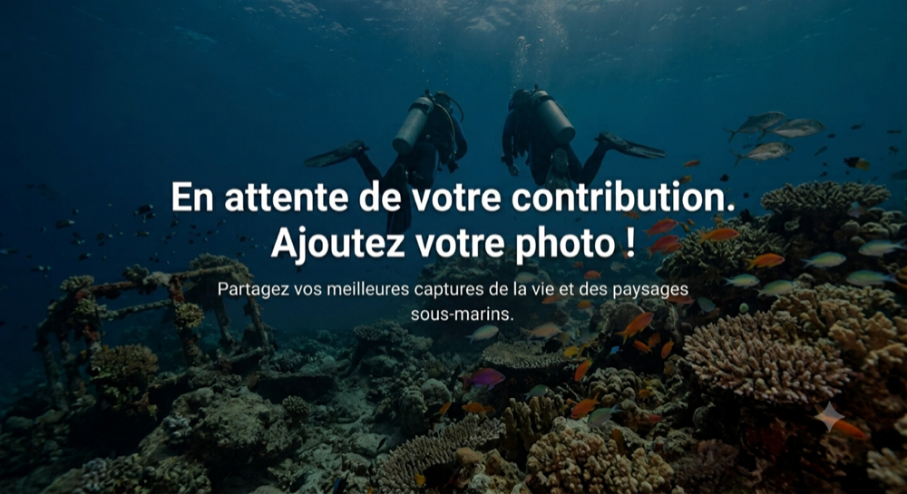 Mer Rouge