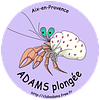 Logo de A.D.A.M.S.