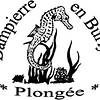 Logo de Dampierre En Burly Plongée