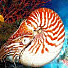 Logo de Le Nautile