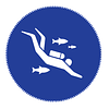 Logo de Nautica Plongée