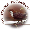 Logo de Le Cincle Plongeur
