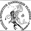 Logo de Etoile Sport. De Dammarie