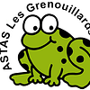 Logo de Association Sports Loisirs De Thales Airborne System Nungesser