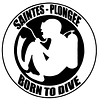 Logo de Saintes Plongée