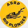 Ass. Sportive Ris Orangis logo