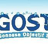 Logo de G.O.S.T.