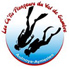 Logo de Cpvs Club De Plongée D Aulnoye Aymeries