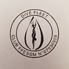 Logo de Dive Fleet