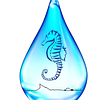 Anaya Plongée logo