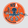 Nettoyeurs Subaquatiques logo