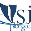 Logo de Villiers Sports Jeunesse