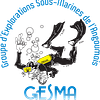 Logo de G.E.S.M.A.