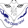 Logo de Blue Deep Univ