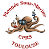 Logo de C.P. Recherche Scientifique De Midi Pyrenees