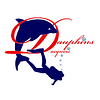 Logo de Les Dauphins Dacquois