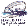 Logo de Haliotis
