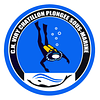 Logo de Club Nautique Viry Chatillon