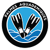 Logo de Club Les Palmes Aquademiques