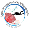 Logo de Union Sportive Municipale Villeparisis Les Gorgones Plongée