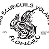 Logo de Association Sportive Plessis Savigny Le Temple