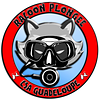 Logo de Csag Section Plongée