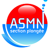 Logo de A.S. Municipaux De Nantes