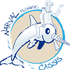 Logo de Narval Plongée
