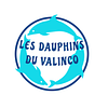 Logo de Club De Plongée Les Dauphins Du Valinco
