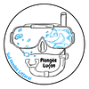 Plongée Lucon Svl logo