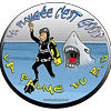 Logo de Palme Du Biscarrosse Olympique