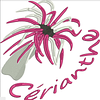 Logo de Cerianthe