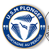 Logo de Union Sportive Mortagnaise