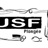 Logo de Union Sportive Fontenaysienne